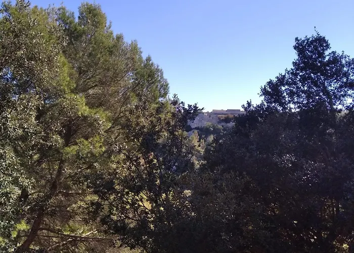 Es Niuet Apartament *