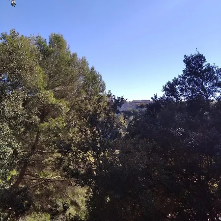 Es Niuet Apartment *